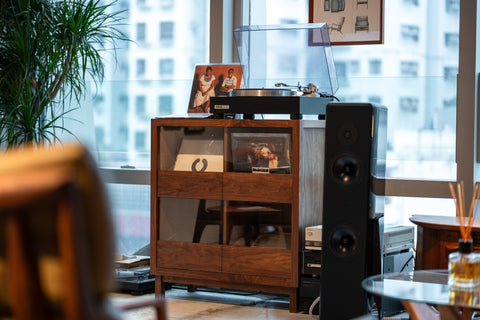 廿一由八 Vinyl Storage Cabinet 黑膠唱片收納櫃